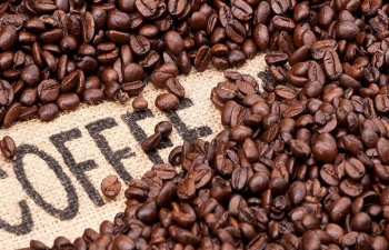 Số liệu xuất khẩu của Brazil tạo sức ép lên giá cà phê Arabica