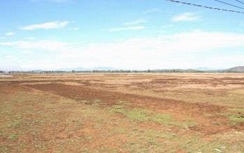 Quảng Ngãi: Hạn chế thấp nhất tình trạng thiếu nước trong mùa cạn