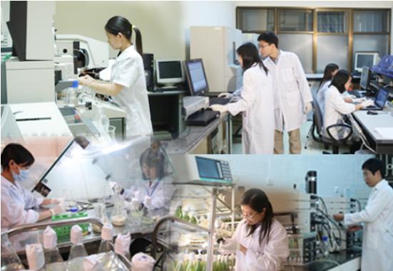 Phê duyệt Quy hoạch mạng lưới tổ chức khoa học và công nghệ công lập- Ảnh 1. Phê duyệt Quy hoạch mạng lưới tổ chức khoa học và công nghệ công lập- Ảnh 1.