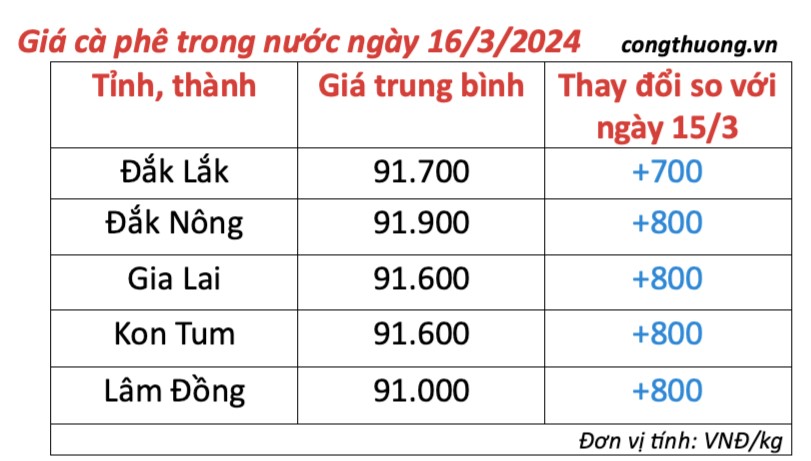 Giá cà phê hôm nay, 16/3/2024: Giá cà phê trong nước duy trì xu hướng tăng