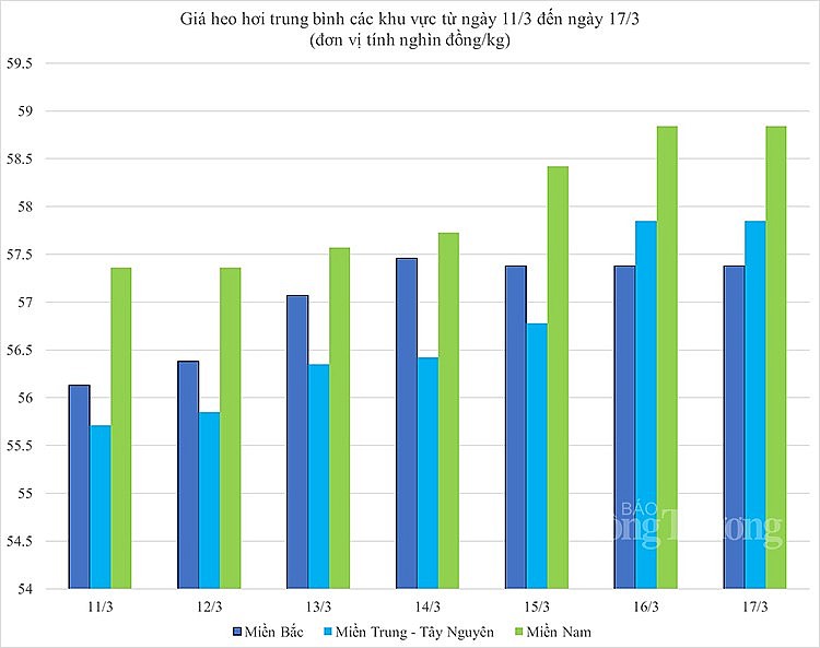 Biến động giá heo hơi