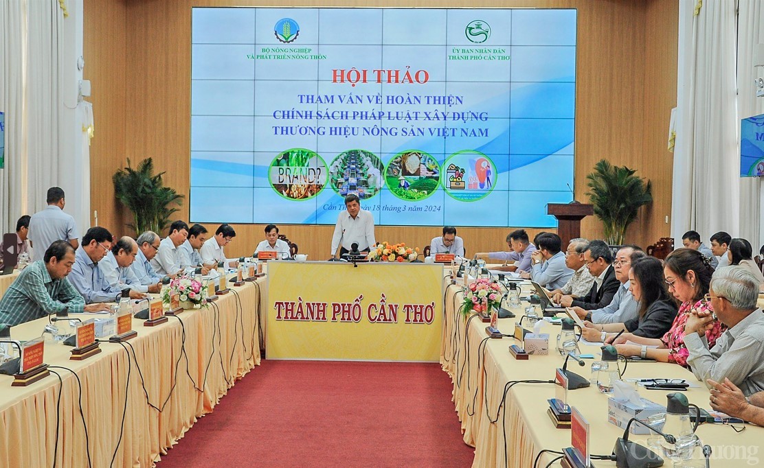 Nông sản xuất khẩu Việt Nam: 80% sản lượng chưa xây dựng được thương hiệu Nông sản xuất khẩu Việt Nam: 80% sản lượng chưa xây dựng được thương hiệu