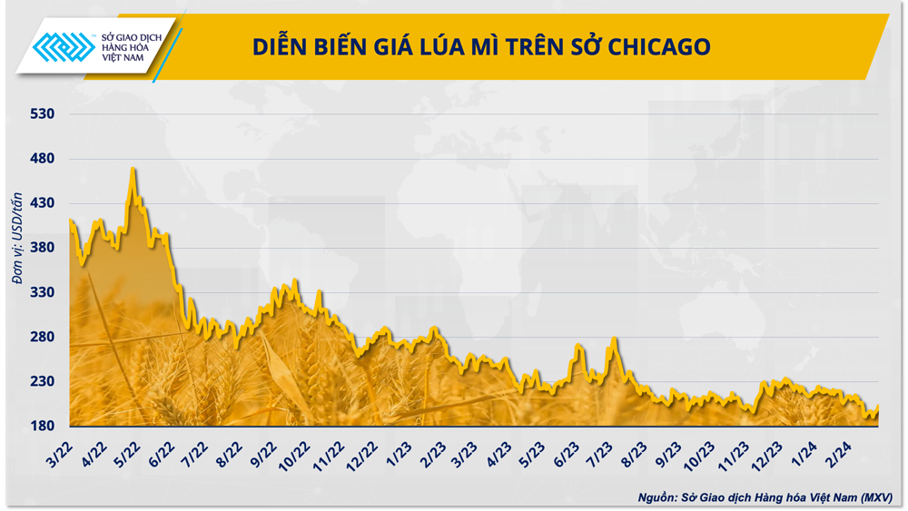 Trung Quốc liên tục hủy các đơn hàng, giá lúa mì sẽ tiếp tục giảm sâu? Trung Quốc liên tục hủy các đơn hàng, giá lúa mì sẽ tiếp tục giảm sâu?