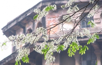 Dự báo thời tiết Hà Nội ngày mai 22/3/2024: Hà Nội nền nhiệt có xu hướng tăng