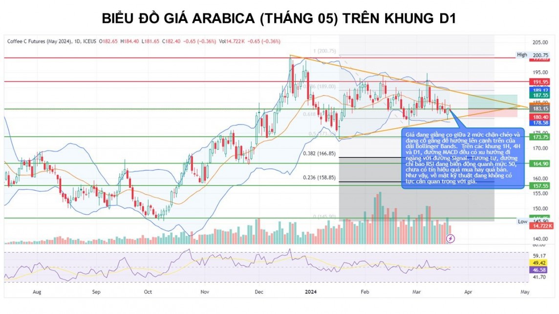 Nguyên nhân một loại cà phê chiếm ưu thế vượt trội trên thị trường toàn cầu Nguyên nhân một loại cà phê chiếm ưu thế vượt trội trên thị trường toàn cầu