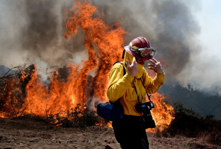 Tuần lễ Phim Quốc tế về thiên nhiên đã quay trở lại Tuần lễ Phim Quốc tế về thiên nhiên đã quay trở lại