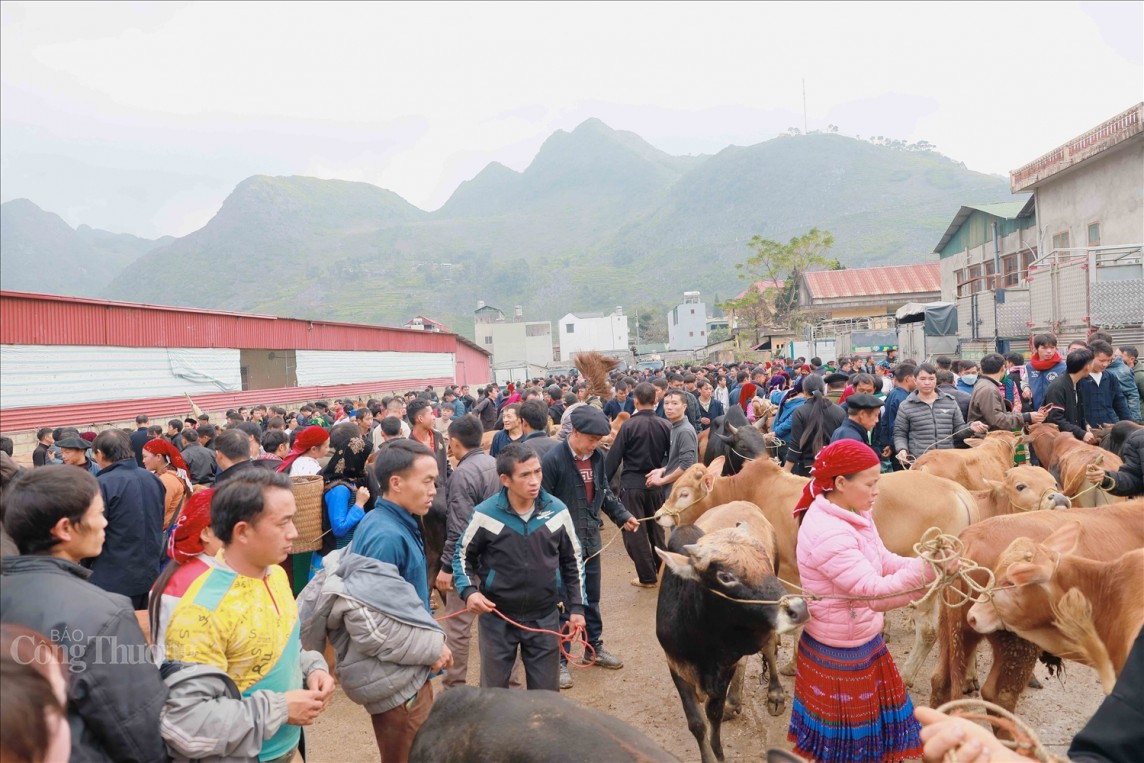 nếu ai đã một lần đi chơi chợ phiên Mèo Vạc, thì nhất định sẽ bước chân đi tìm tới khu chợ bò