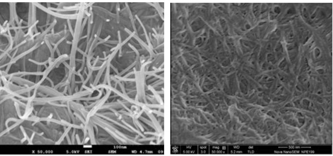 Hướng đi mới trong sản xuất giấy bao gói thực phẩm Hướng đi mới trong sản xuất giấy bao gói thực phẩm