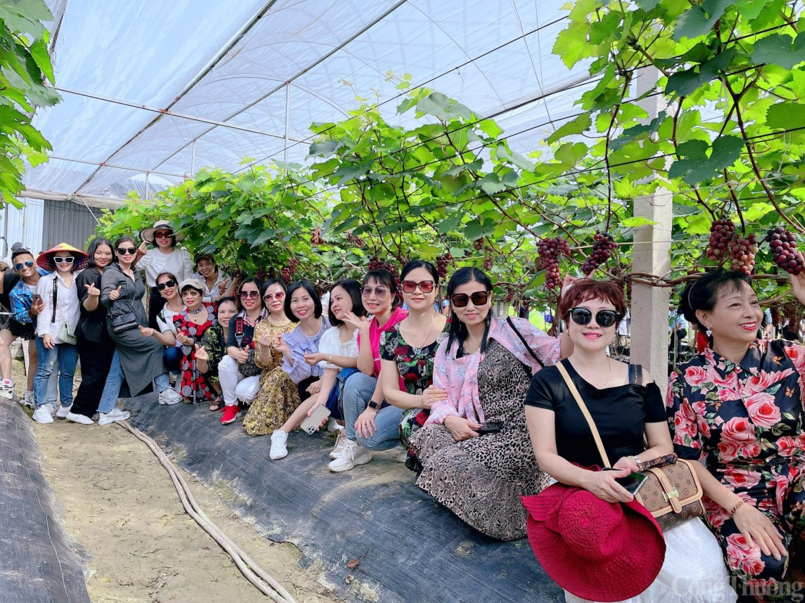 Người nông dân Hải Dương “làm giàu từ đất”, thành tỷ phú nhờ trồng nho Hạ Đen