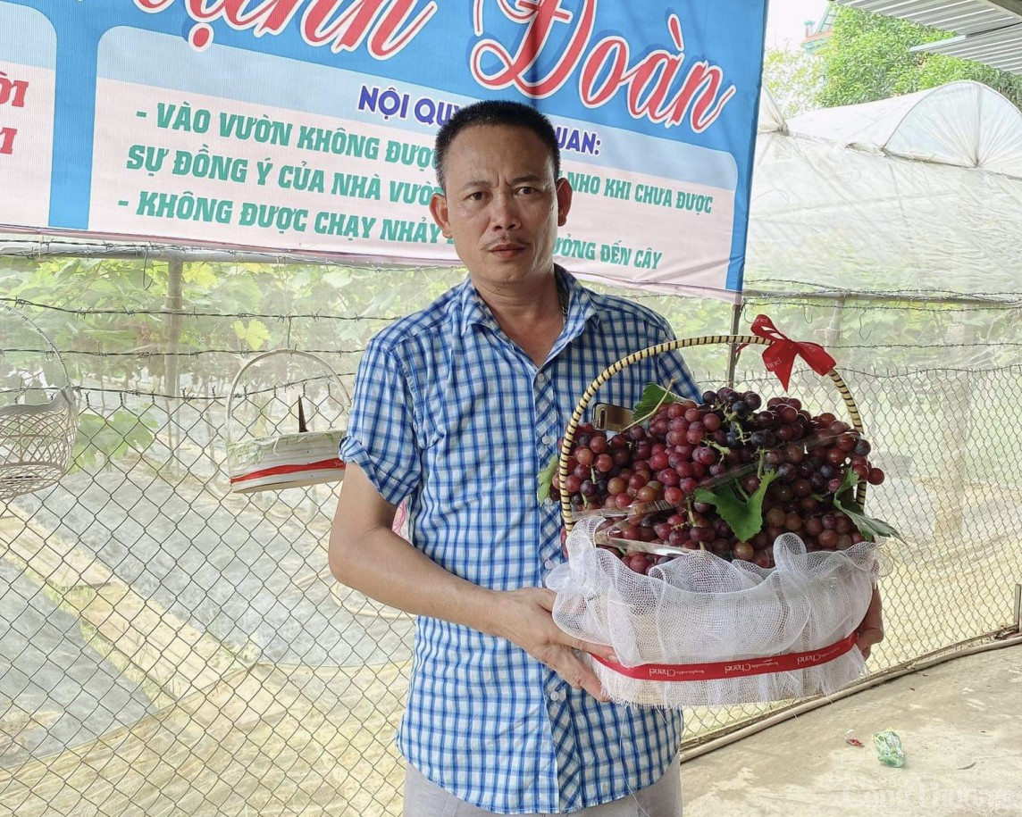 Người nông dân Hải Dương “làm giàu từ đất”, thành tỷ phú nhờ trồng nho Hạ Đen