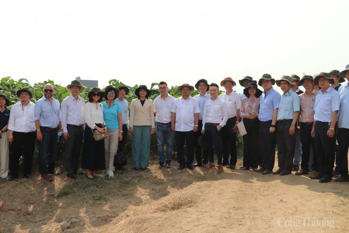 Gia Lai thứ truong Gia Lai thứ truong