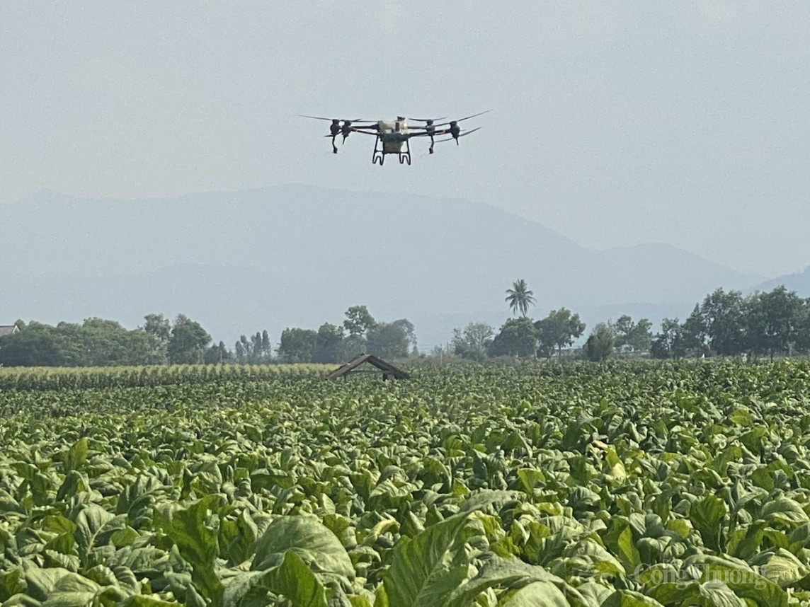 Gia Lai thứ truong Gia Lai thứ truong