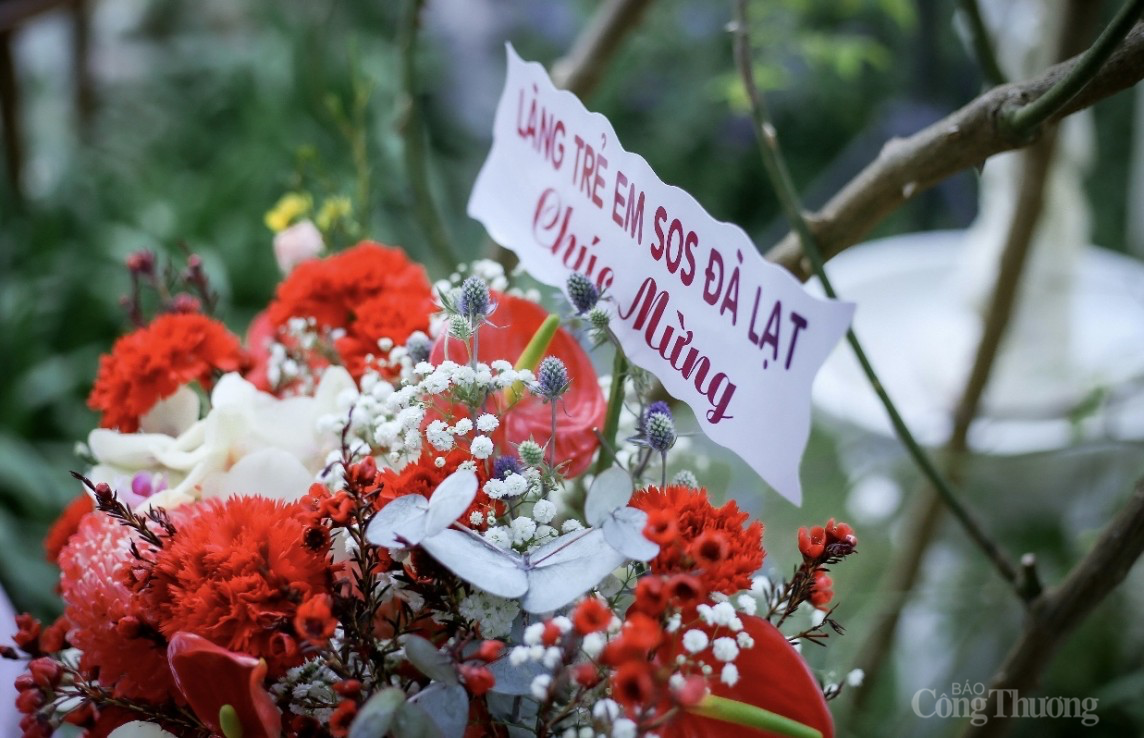 Lâm Đồng: Nhóm tác giả trẻ ra mắt dự án sách “Xứ sở lạ lùng” Lâm Đồng: Nhóm tác giả trẻ ra mắt dự án sách “Xứ sở lạ lùng”