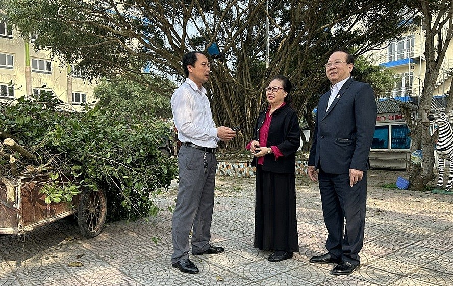 Thanh Hóa: Biển Hải Tiến "khoắc áo mới” đón khách du lịch Thanh Hóa: Biển Hải Tiến "khoắc áo mới” đón khách du lịch