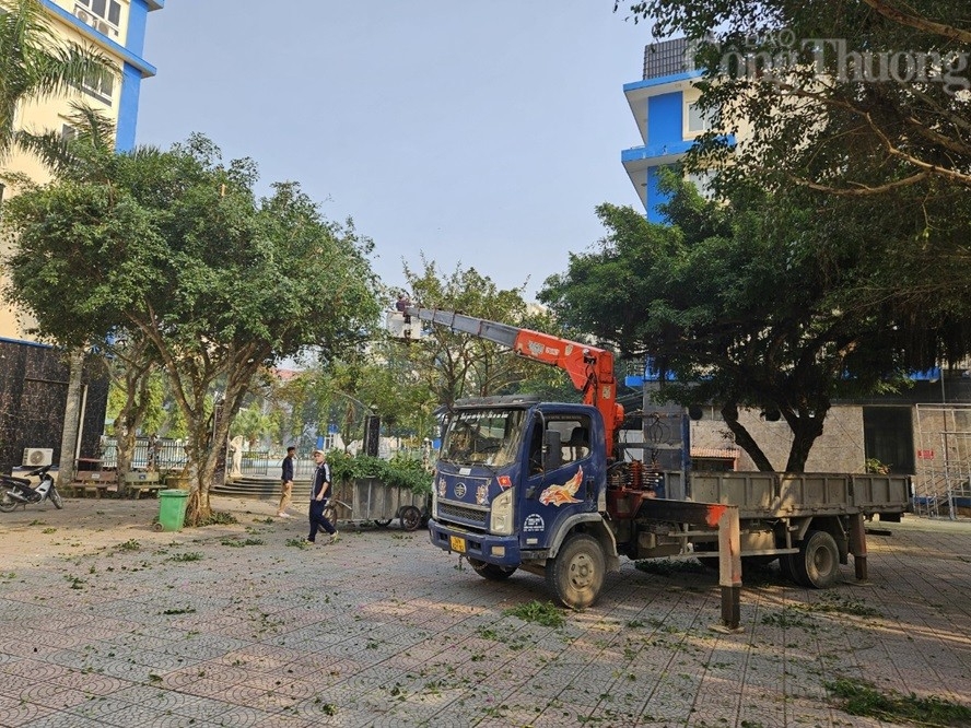 Thanh Hóa: Biển Hải Tiến "khoắc áo mới" đón khách du lịch Thanh Hóa: Biển Hải Tiến "khoắc áo mới" đón khách du lịch