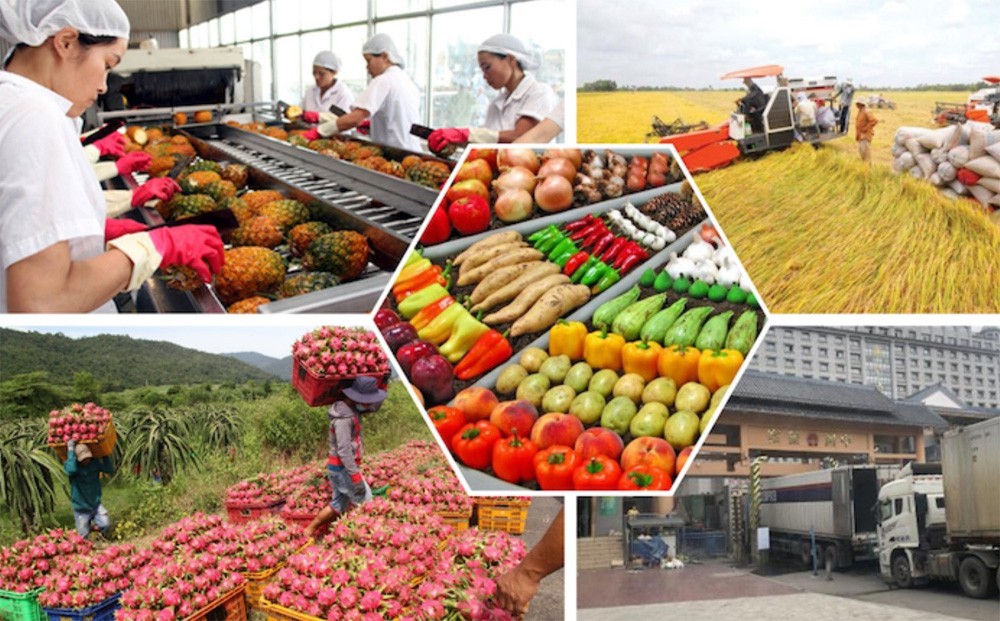 5 mặt hàng vào top 'câu lạc bộ xuất khẩu tỷ USD'