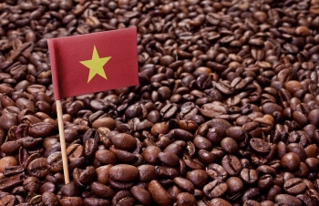 Cà phê Việt Nam liên tiếp đón tin vui, thiết lập giá cao vút
