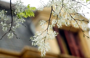 Dự báo thời tiết Hà Nội ngày mai 2/4/2024: Hà Nội không mưa, nắng nóng xuất hiện