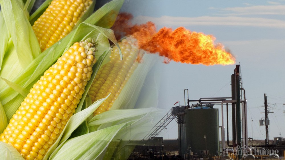 Thị trường hàng hóa hôm nay ngày 2/4: Dòng tiền đầu tư hàng hóa tập trung ở nông sản và kim loại Thị trường hàng hóa hôm nay ngày 2/4: Dòng tiền đầu tư hàng hóa tập trung ở nông sản và kim loại