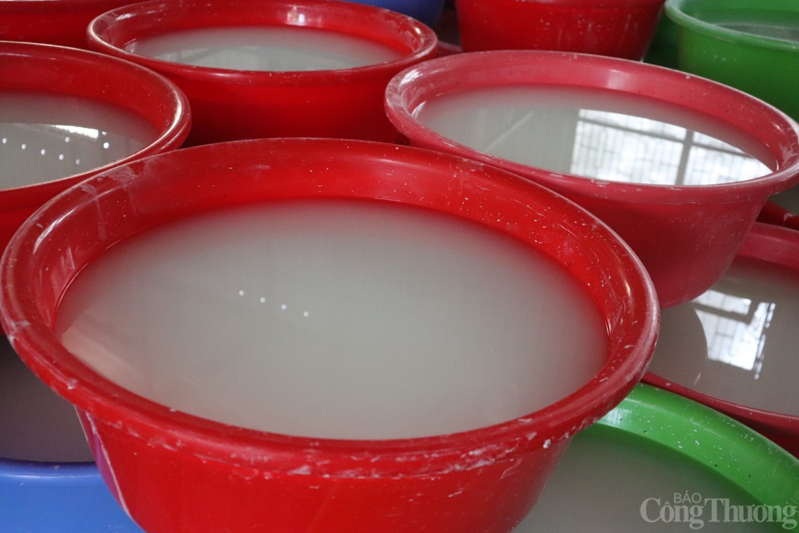 Mùa sắn dây bội thu, người dân Hải Dương kiếm về hàng trăm triệu đồng/ha Mùa sắn dây bội thu, người dân Hải Dương kiếm về hàng trăm triệu đồng/ha