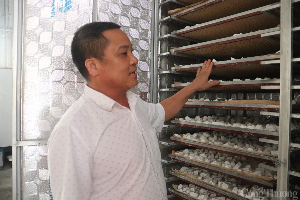 Mùa sắn dây bội thu, người dân Hải Dương kiếm về hàng trăm triệu đồng/ha Mùa sắn dây bội thu, người dân Hải Dương kiếm về hàng trăm triệu đồng/ha