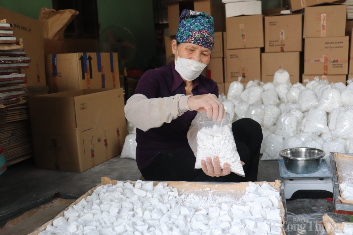 Mùa sắn dây bội thu, người dân Hải Dương kiếm về hàng trăm triệu đồng/ha Mùa sắn dây bội thu, người dân Hải Dương kiếm về hàng trăm triệu đồng/ha