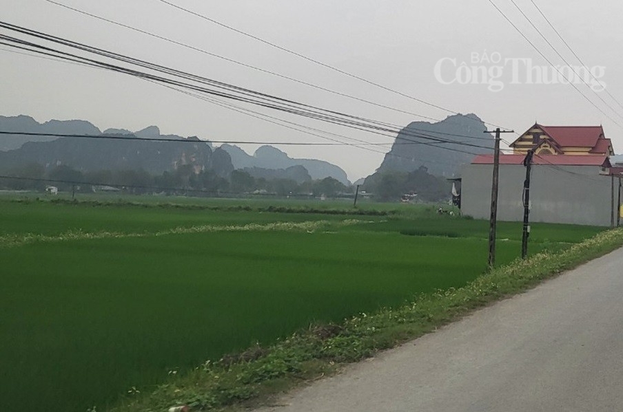 Thanh Hóa: Có thêm Nhà máy may mặc và may linh phụ kiện giày tổng mức đầu tư 45 tỷ đồng Thanh Hóa: Có thêm Nhà máy may mặc và may linh phụ kiện giày tổng mức đầu tư 45 tỷ đồng