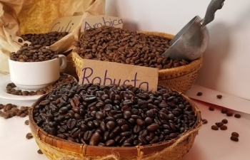 Giá cà phê Robusta thiết lập đỉnh mới 30 năm