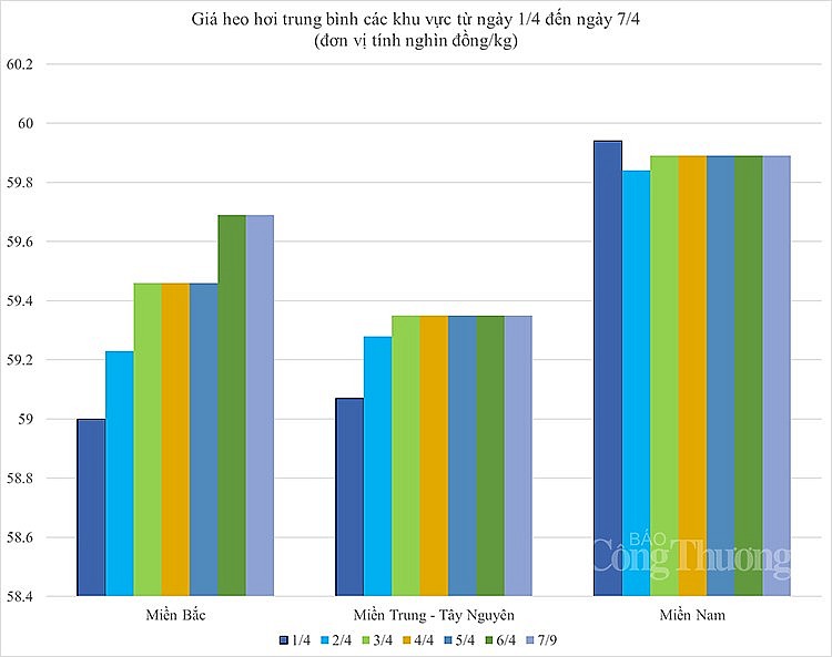 biến động giá heo hơi biến động giá heo hơi