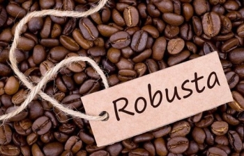 Giá cà phê Robusta sẽ giảm nhiệt?