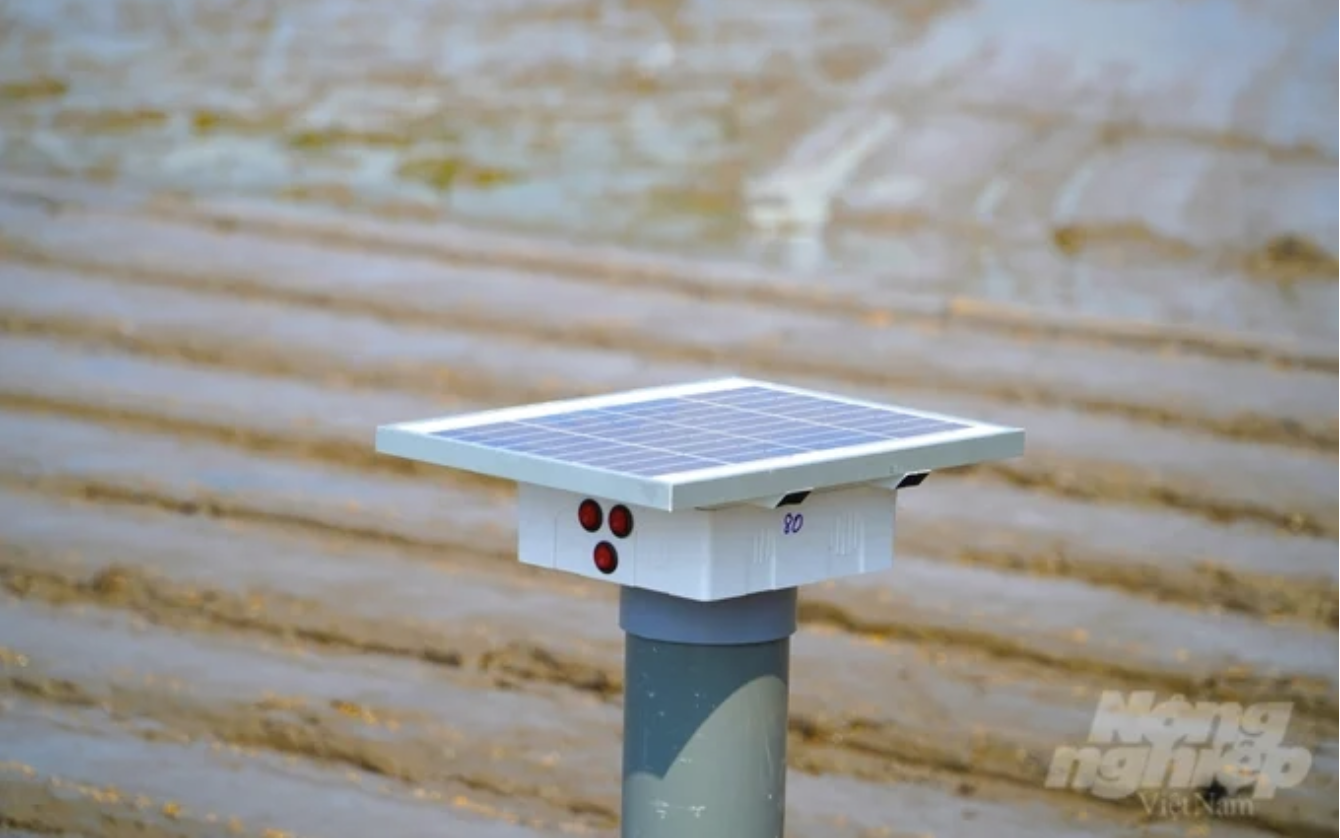 Thiết bị cảm biến để giám sát mực nước, kết hợp với các thành phần khác để tính trực tiếp ra hệ số phát thải khí nhà kính được lắp đặt trên cánh đồng lúa. Ảnh: Kim Anh/NNVN Thiết bị cảm biến để giám sát mực nước, kết hợp với các thành phần khác để tính trực tiếp ra hệ số phát thải khí nhà kính được lắp đặt trên cánh đồng lúa. Ảnh: Kim Anh/NNVN