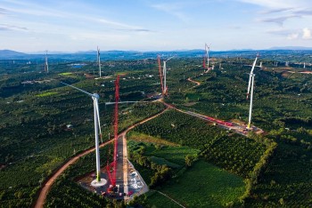 Cần nhanh chóng hiện thực hoá các chủ trương về chuyển đổi xanh