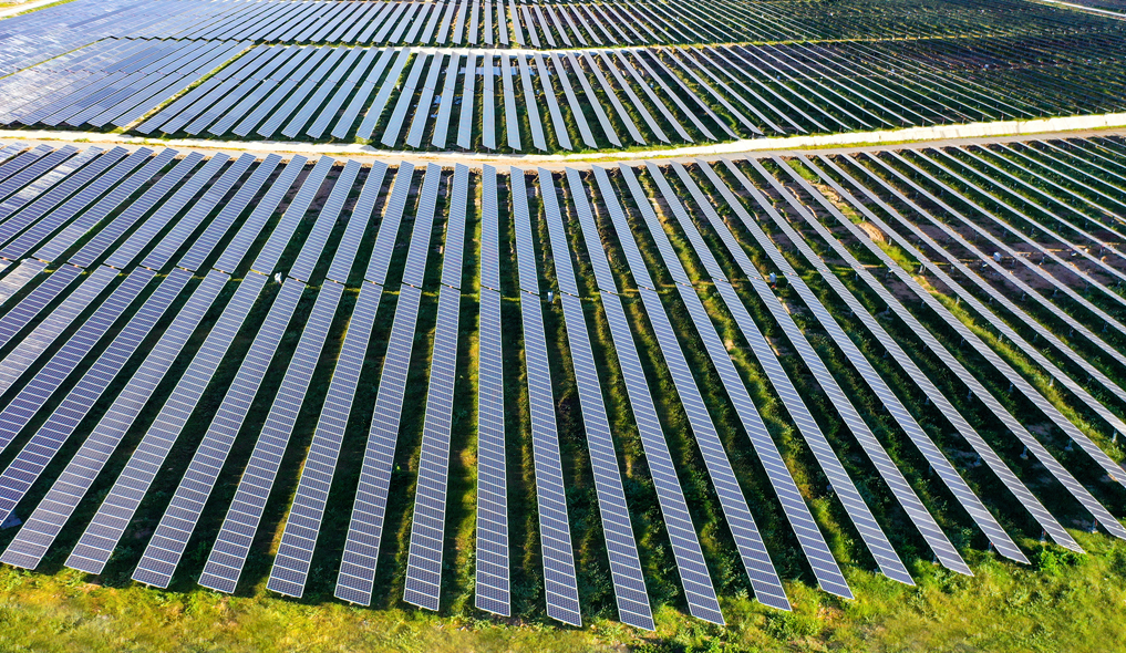 Ninh Thuận: Năng lượng tái tạo đóng góp 2,84% GRDP Ninh Thuận: Năng lượng tái tạo đóng góp 2,84% GRDP