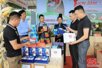 Sơn La: Xây dựng chuỗi giá trị xuất khẩu nông sản bền vững