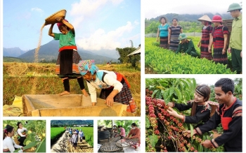 Triển khai cơ chế, chính sách đặc thù đẩy nhanh tiến độ chương trình mục tiêu quốc gia tại địa phương