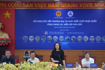 Tạo động lực, khơi tiềm năng, mở rộng không gian tăng trưởng xuất khẩu vùng Trung du và miền núi phía Bắc