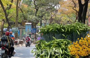 Dự báo thời tiết Hà Nội ngày mai 15/4/2024: Hà Nội không mưa, nền nhiệt có xu hướng tăng