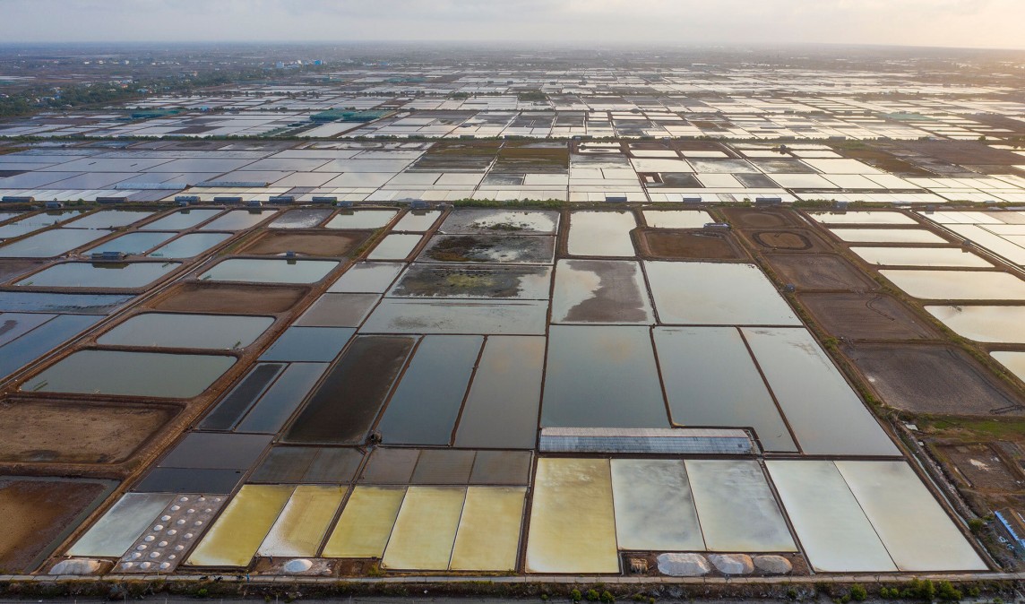 Cánh đồng muối ở huyện Đông Hải. Cánh đồng muối ở huyện Đông Hải, tỉnh Bạc Liêu.