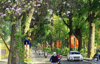 Dự báo thời tiết Hà Nội ngày mai 18/4/2024: Hà Nội sáng sớm sương mù nhẹ, trưa chiều nắng nóng