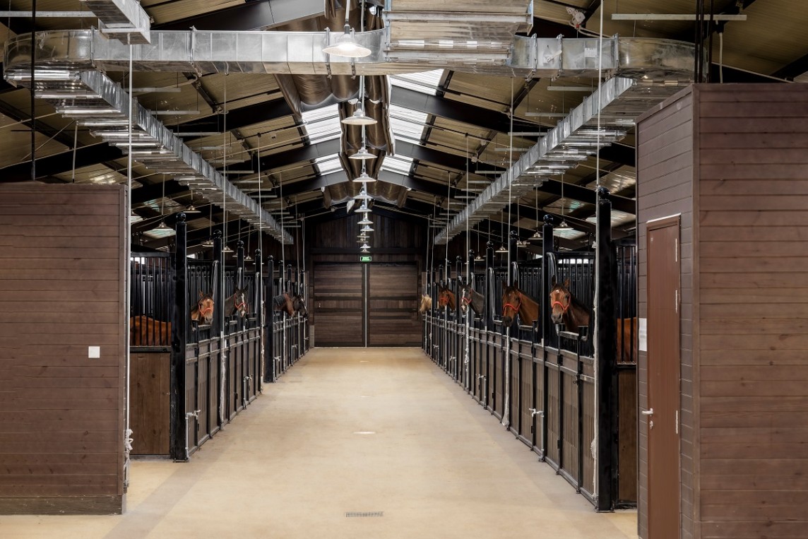 Cư dân Vinhomes Royal Island có thể an tâm gửi gắm những chú ngựa quý của mình tại Học viện cưỡi ngựa Hoàng Gia Cư dân Vinhomes Royal Island có thể an tâm gửi gắm những chú ngựa quý của mình tại Học viện cưỡi ngựa Hoàng Gia