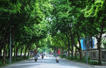 Dự báo thời tiết Hà Nội ngày mai 19/4/2024: Hà Nội sáng sớm mưa nhỏ rải rác, trưa chiều hửng nắng