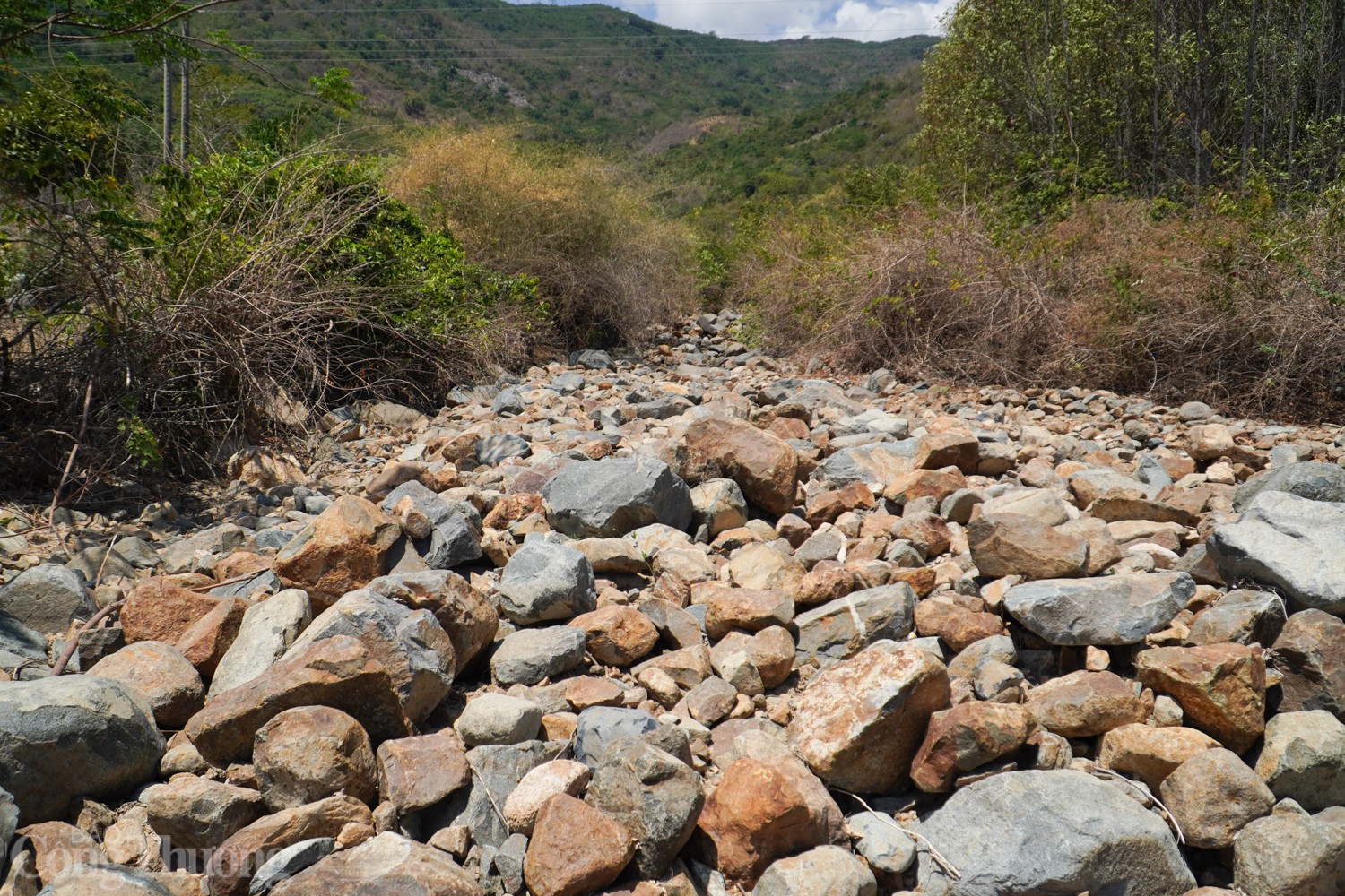 Bài 1: Hạn hán "đe doạ" Ninh Thuận Bài 1: Hạn hán "đe doạ" Ninh Thuận