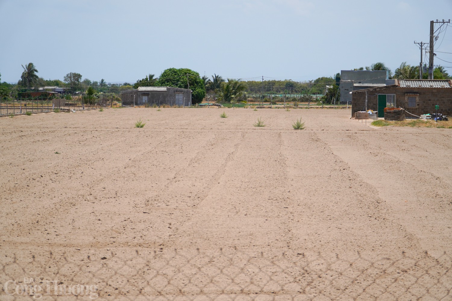 Bài 3: Khẩn trương ứng phó hạn hán, xâm nhập mặn Bài 3: Khẩn trương ứng phó hạn hán, xâm nhập mặn