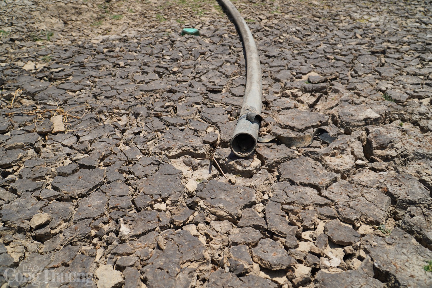 Tận thấy hồ thủy lợi ở Ninh Thuận cạn trơ đáy Tận thấy hồ thủy lợi ở Ninh Thuận cạn trơ đáy