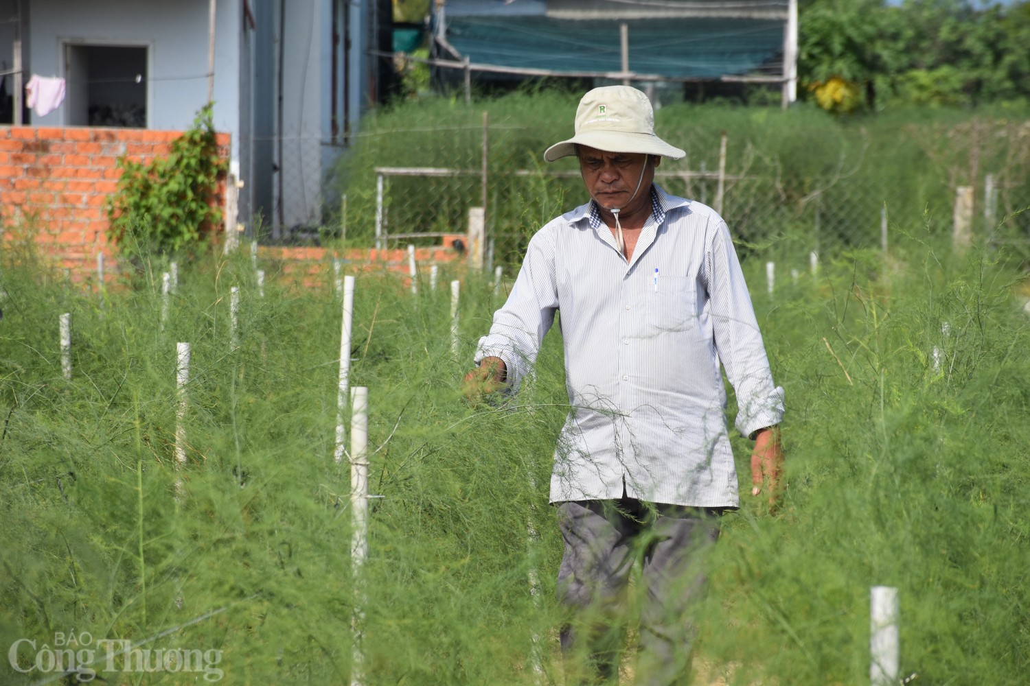 Bài cuối: Điểm sáng mô hình sản xuất hiệu quả với nắng nóng Bài cuối: Điểm sáng mô hình sản xuất hiệu quả với nắng nóng