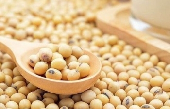 Đậu tương kéo dài đà giảm do giá USD tăng mạnh