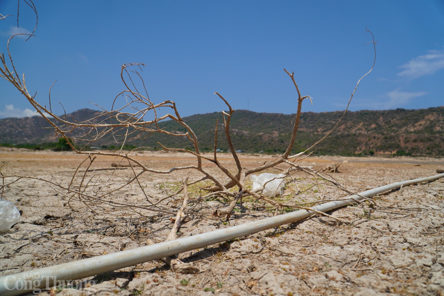 Tận thấy hồ thủy lợi ở Ninh Thuận cạn trơ đáy Tận thấy hồ thủy lợi ở Ninh Thuận cạn trơ đáy