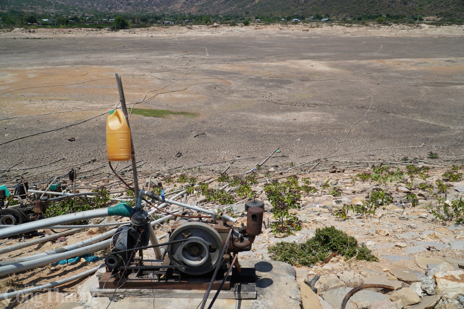 Tận thấy hồ thủy lợi ở Ninh Thuận cạn trơ đáy Tận thấy hồ thủy lợi ở Ninh Thuận cạn trơ đáy