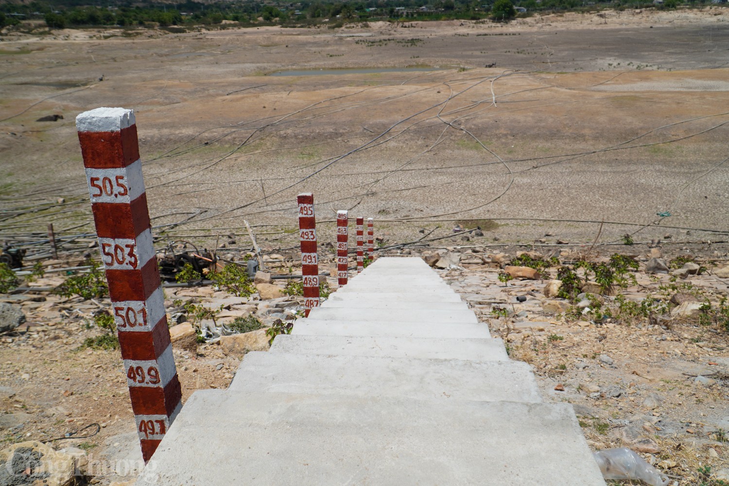 Tận thấy hồ thủy lợi ở Ninh Thuận cạn trơ đáy Tận thấy hồ thủy lợi ở Ninh Thuận cạn trơ đáy