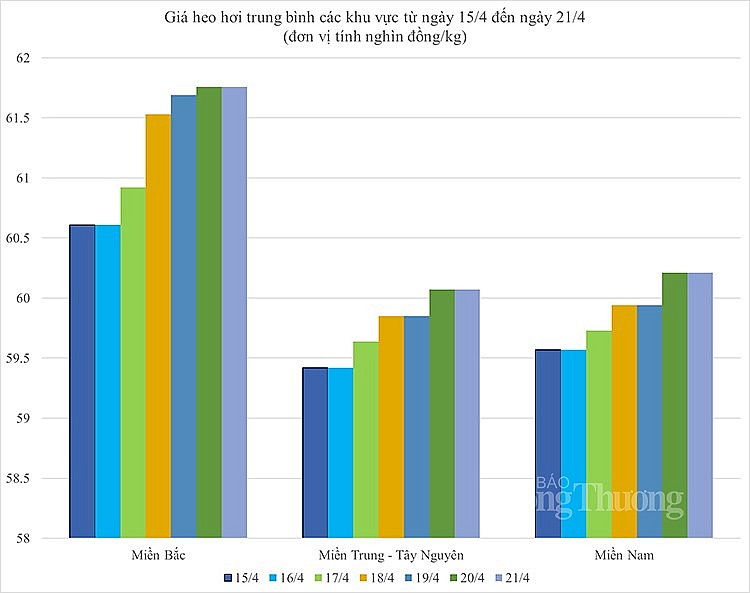 Biến động giá heo hơi Biến động giá heo hơi